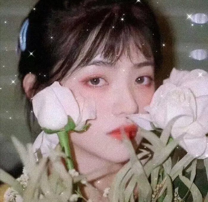 公主与出租车司机